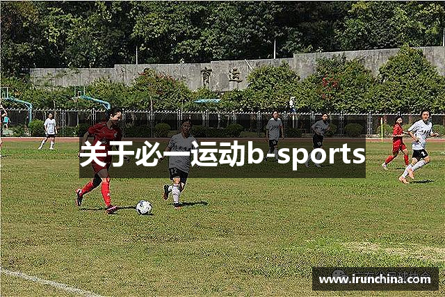关于必一运动b-sports